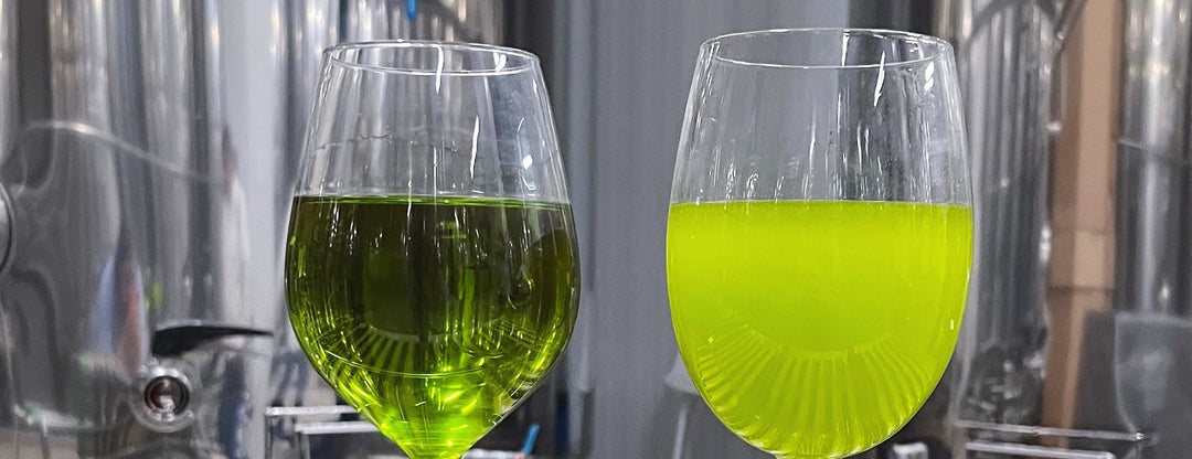 Wie erkenne ich gutes Olivenöl?