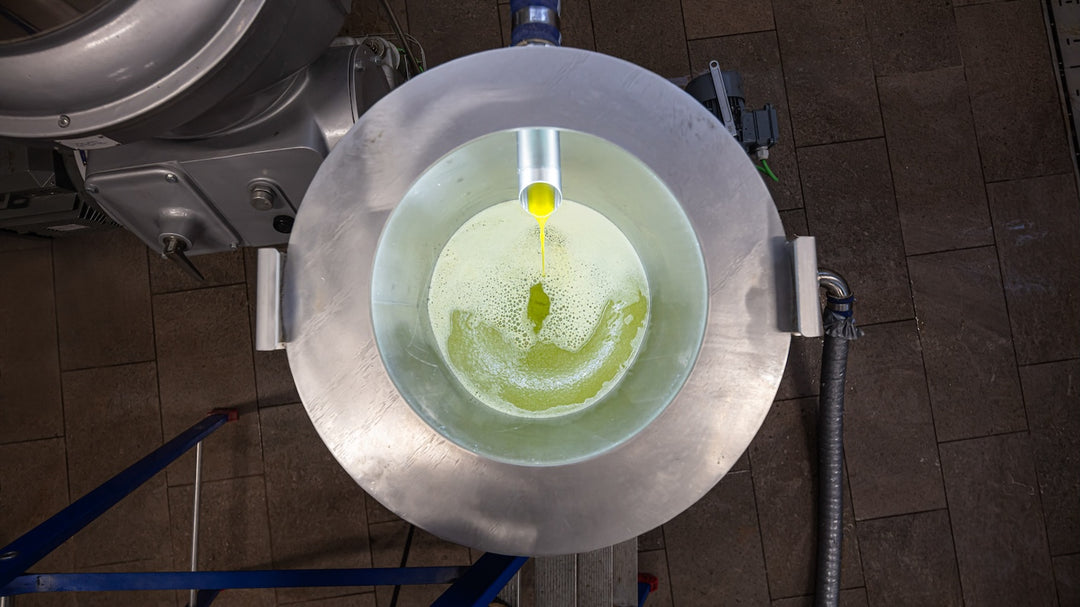 CuadratValley_Bio_Olivenol_Herstellung