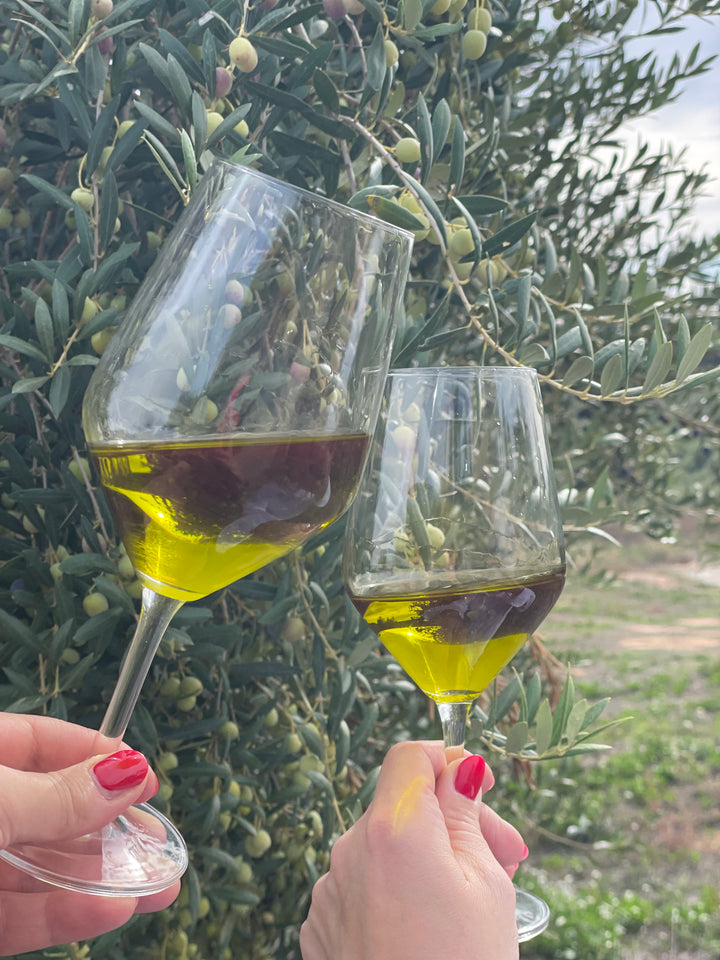 Fontfleurie reinsortiges Arbequina Olivenöl aus Katalonien