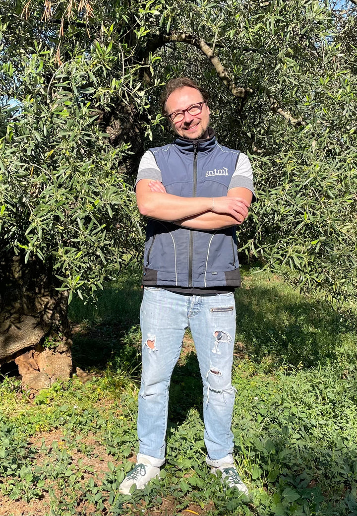 Novello - frühestes Ogriaola Olivenöl aus Apulien